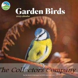 RSPB Garden Birds Wall Calendar 2025, Carousel Calendars 250154