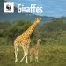 WWF Giraffes Wall Calendar 2025