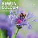 Royal Botanic Gardens Kew, Kew in Colour Wall Calendar 2025