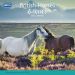 RSPCA British Horses & Ponies Wall Calendar 2025