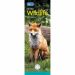 RSPCA British Wildlife Slim Calendar 2025