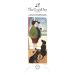 Tottering by Gently, The Dogs Day Slim Calendar 2025