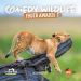 Comedy Wildlife Photography Awards Calendar 2025,