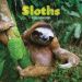 Sloths Mini Calendar 2025