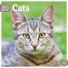 366 Days of Cats Calendar 2025