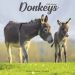 Donkeys Wall Calendar 2025