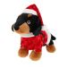 Dachshund in Christmas Santa Outfit Keeleco SX2726