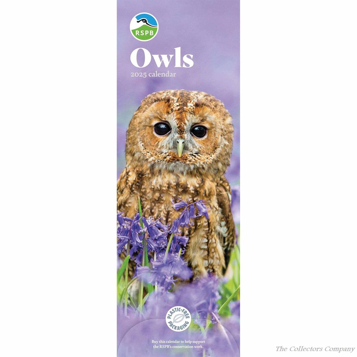 RSPB Owls Slim Calendar 2025