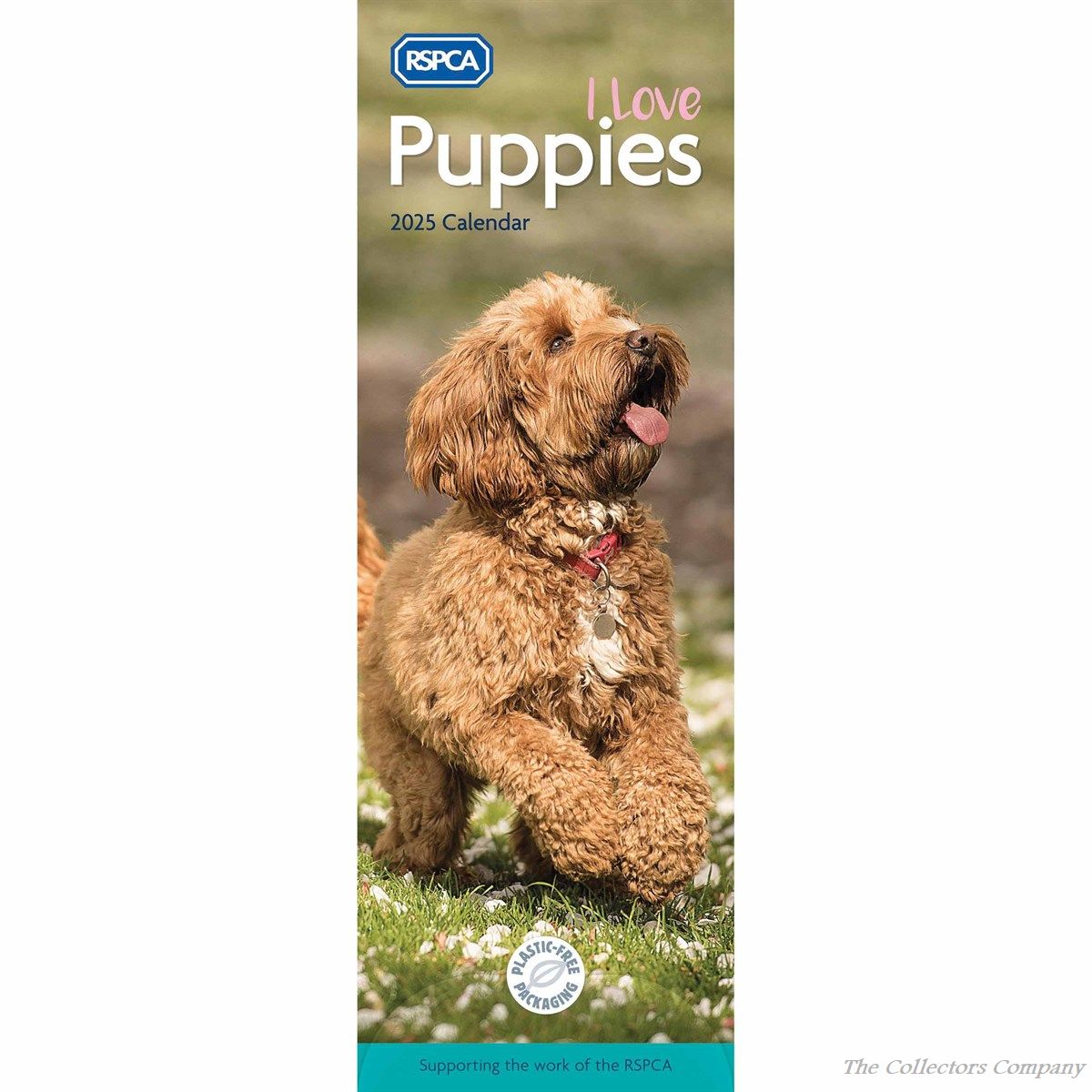 RSPCA, I Love Puppies Slim Calendar 2025