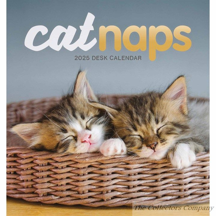 Cat Naps Easel Desk Calendar 2025