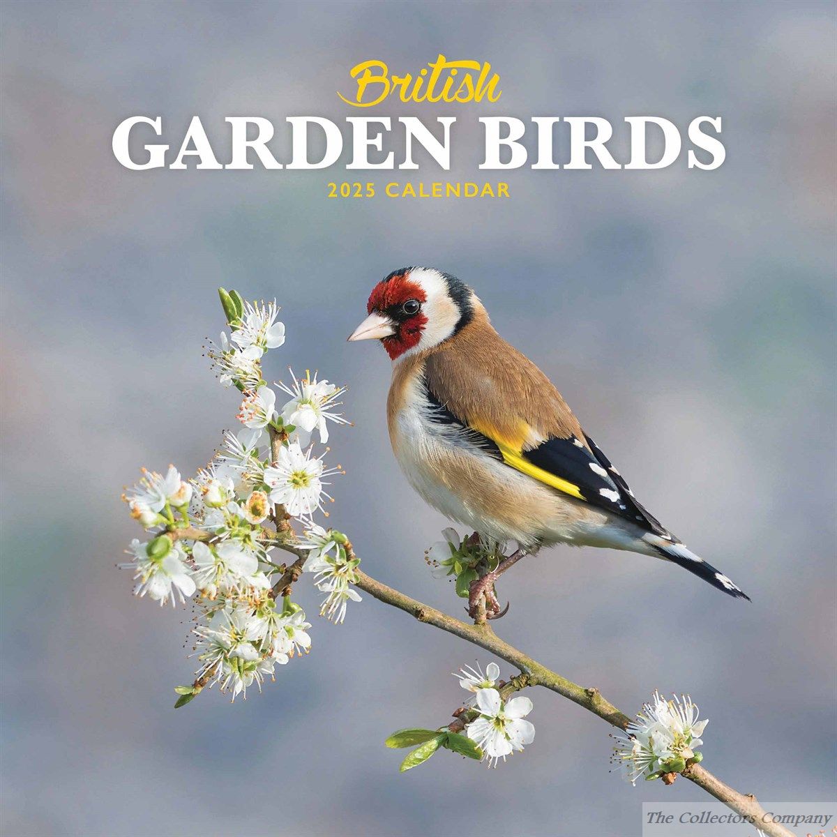 British Garden Birds Mini Calendar 2025