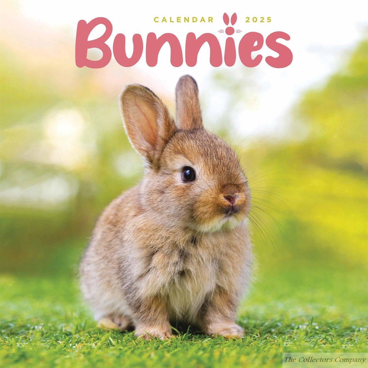 Bunnies Mini Calendar 2025