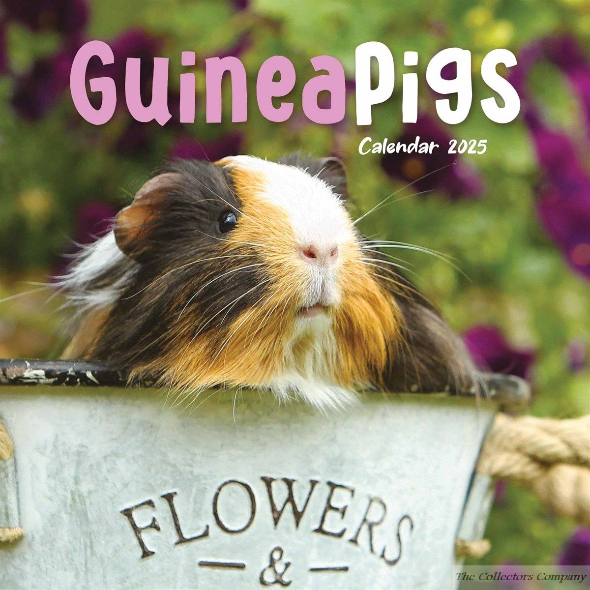 Guinea Pigs Mini Calendar 2025
