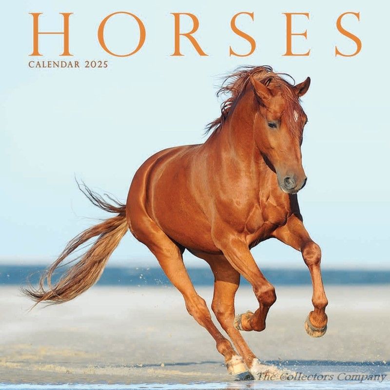 Horses Mini Calendar 2025