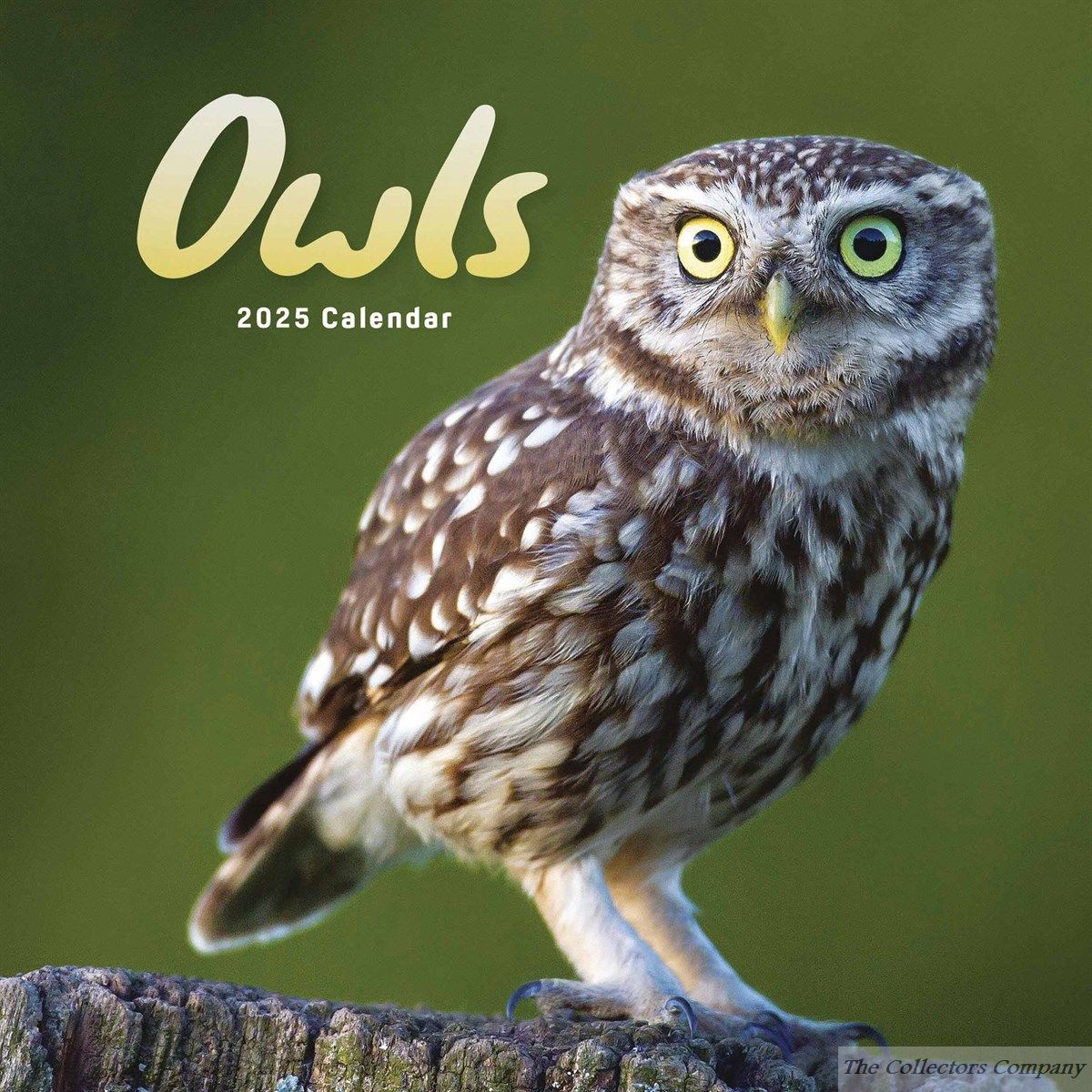 Owls Mini Calendar 2025,