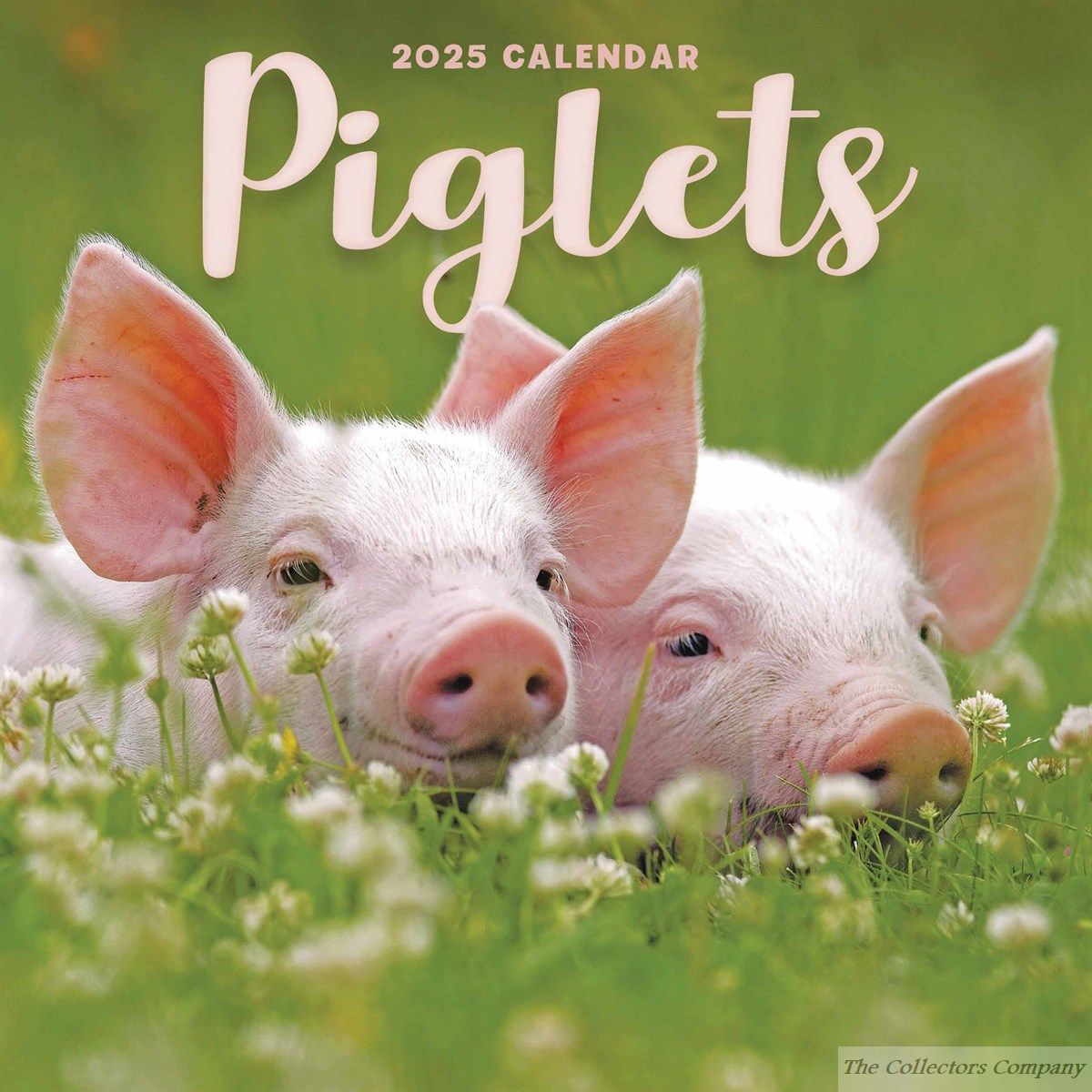 Piglets Mini Calendar 2025