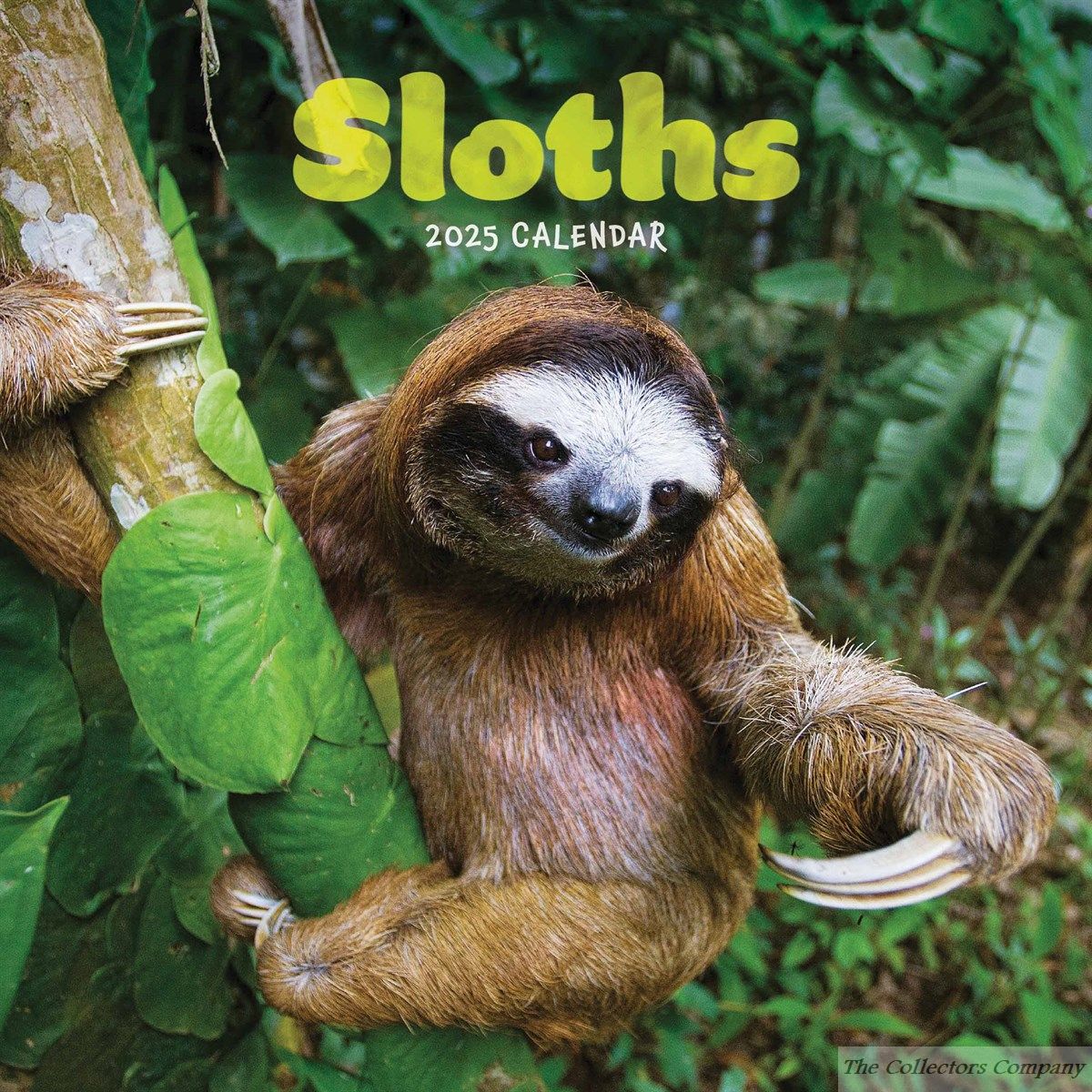 Sloths Mini Calendar 2025