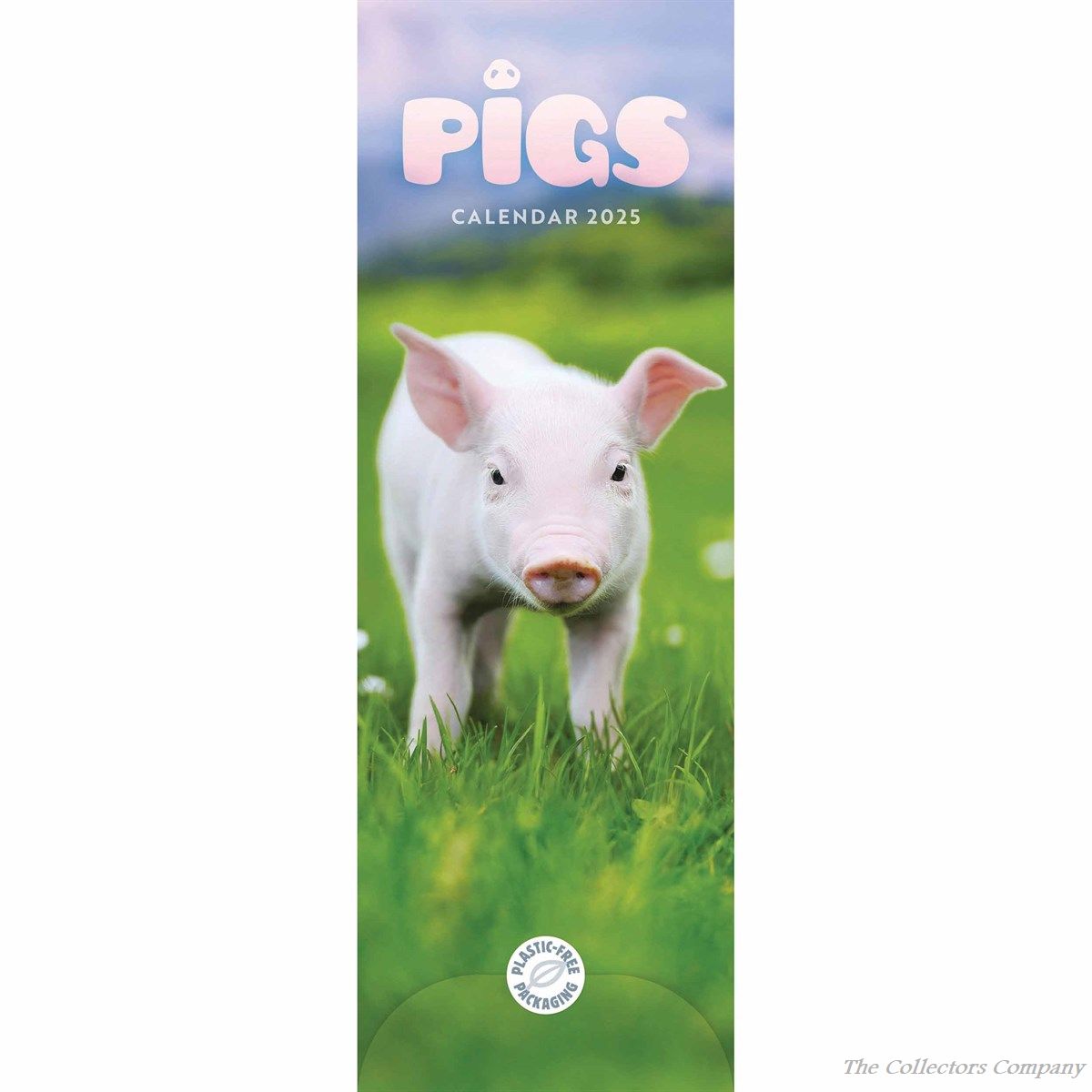 Pigs Slim Calendar 2025