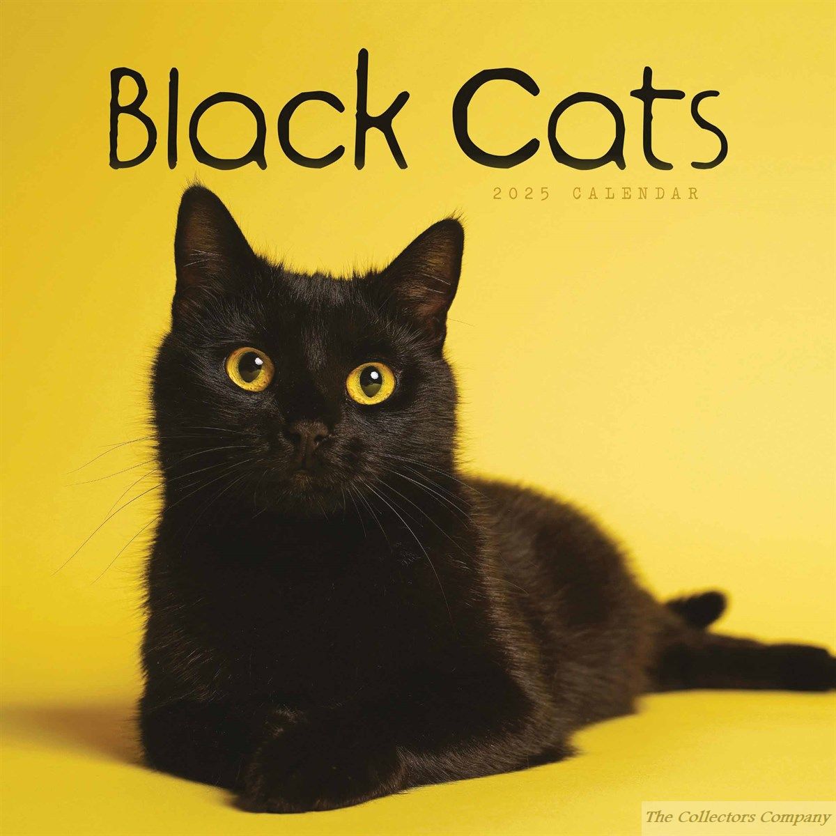 Black Cats Calendar 2025, Carousel Calendars 250528