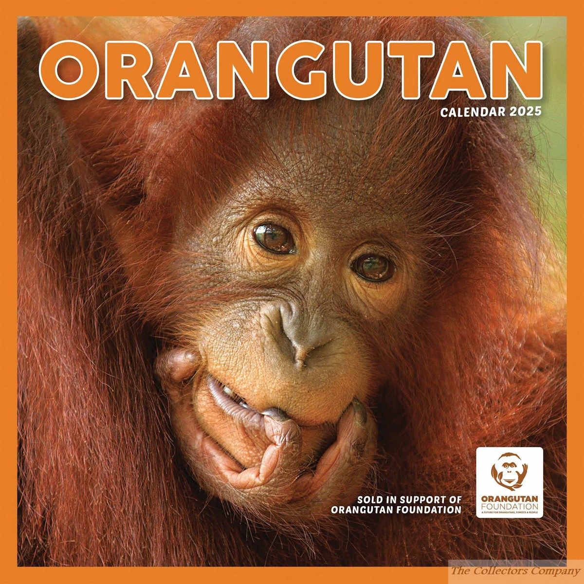 Orangutan Calendar 2025