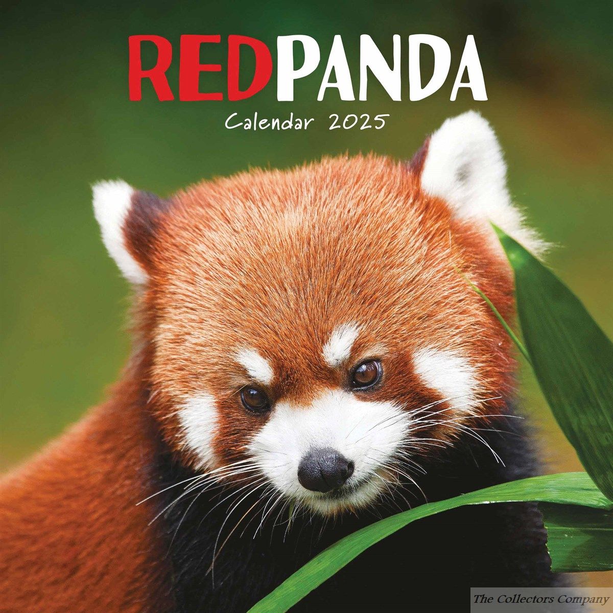 Red Pandas Calendar 2025