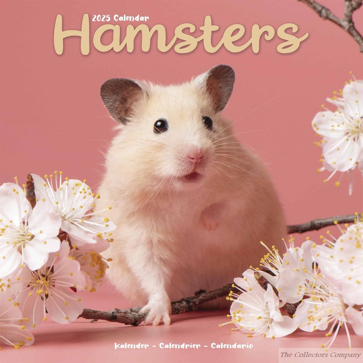 Hamsters Calendar 2025