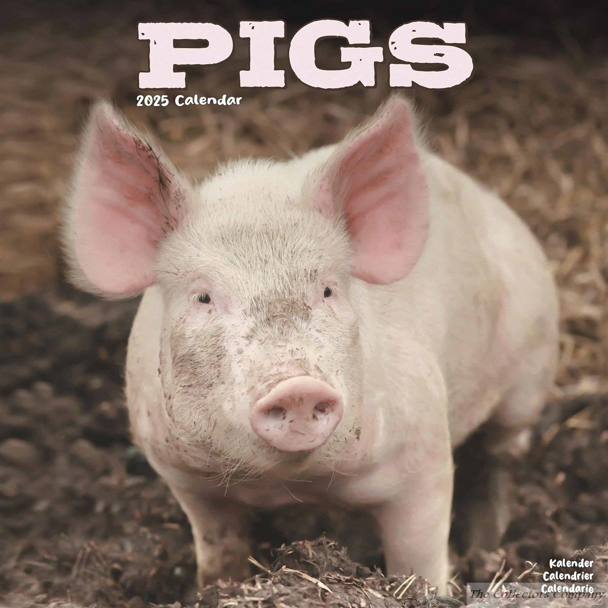 Pigs Calendar 2025