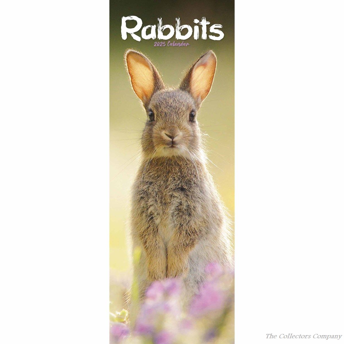 Rabbits Slim Calendar 2025