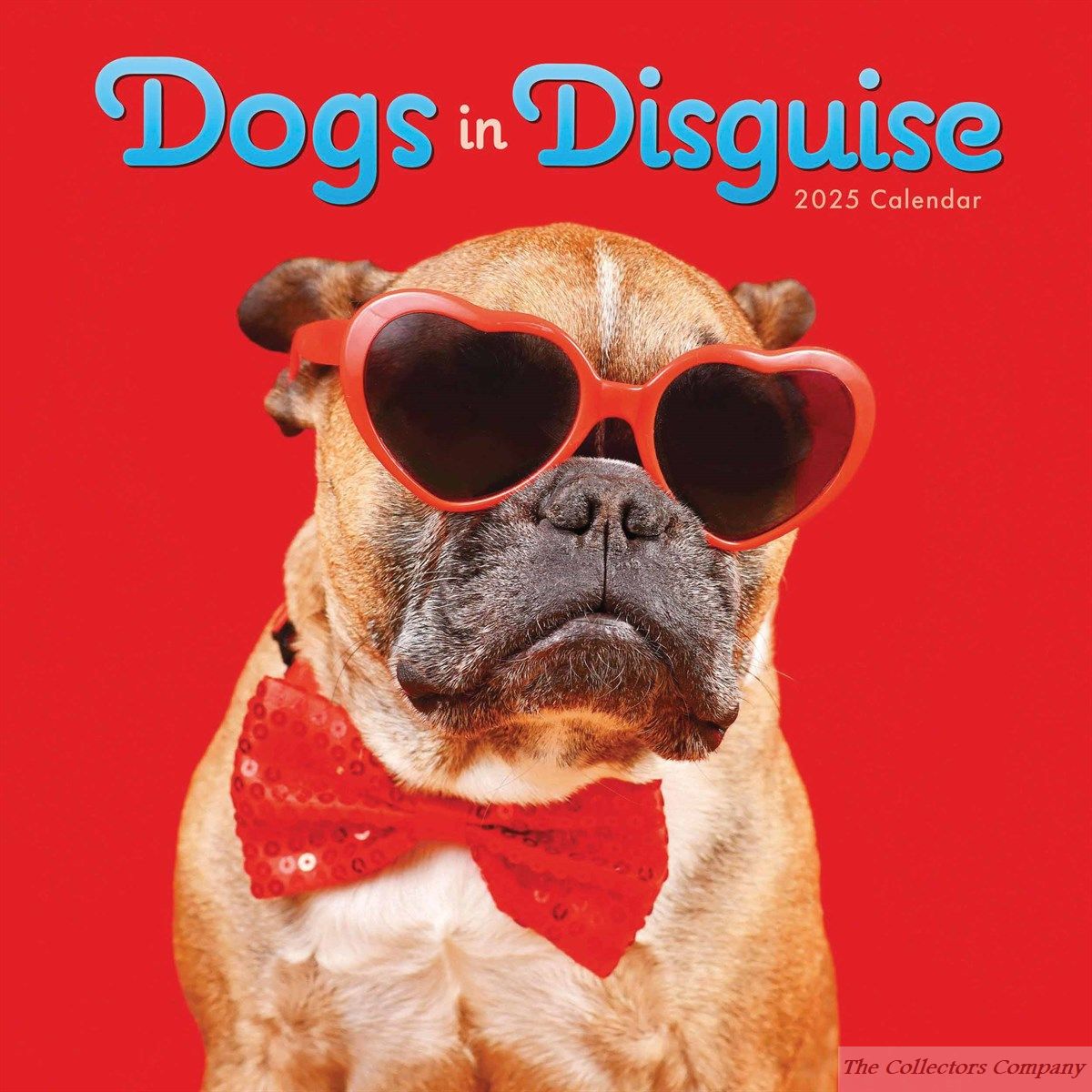 Dogs in Disguise Calendar 2025