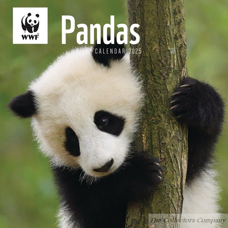 WWF Pandas Calendar 2025