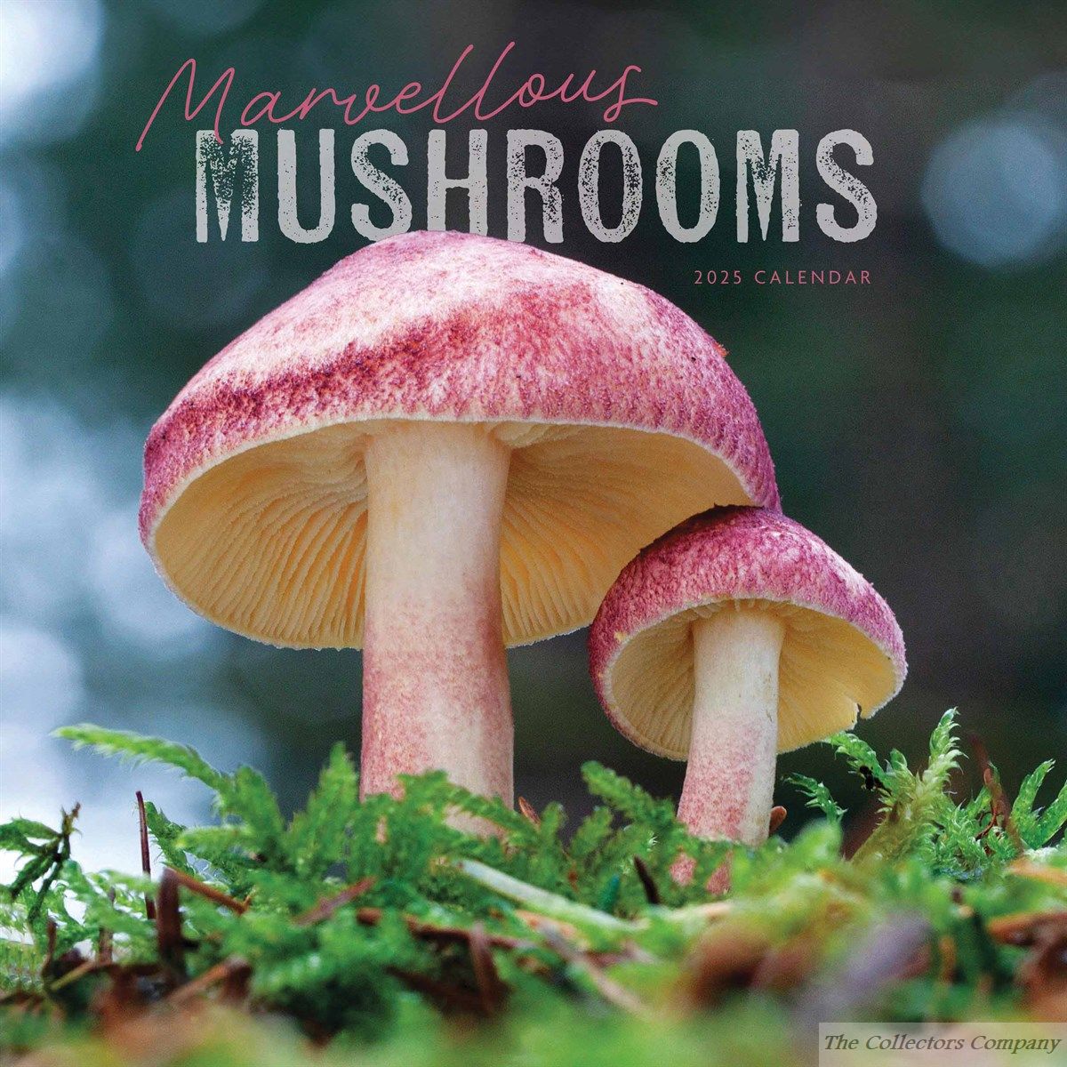 Marvellous Mushrooms Calendar 2025