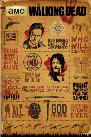 The Walking Dead Infographic Maxi Poster by GB Eye FP4173