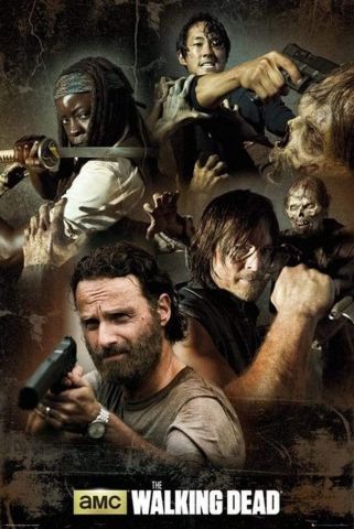 The Walking Dead Infographic Maxi Poster by GB Eye FP3734