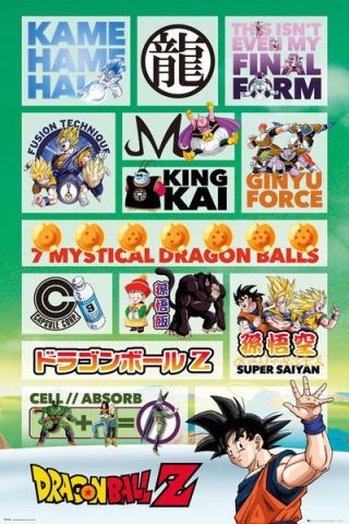 Dragon Ball Infographic Maxi Poster by GB Eye FP4166