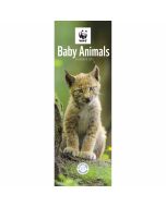 WWF Baby Animals Slim Calendar 2025