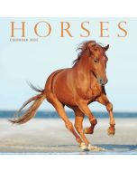 Horses Mini Calendar 2025