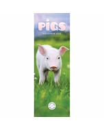 Pigs Slim Calendar 2025