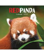 Red Pandas Calendar 2025