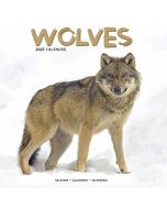 Wolves Wall Calendar 2025