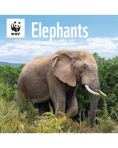 WWF Elephants Wall Calendar 2025