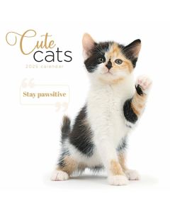 Cute Cats Calendar 2025