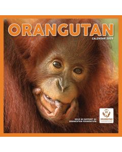 Orangutan Calendar 2025