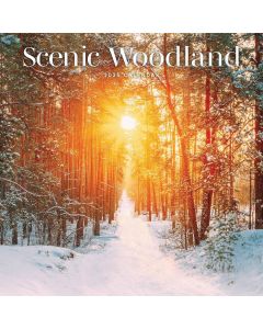 Scenic Woodland Calendar 2025