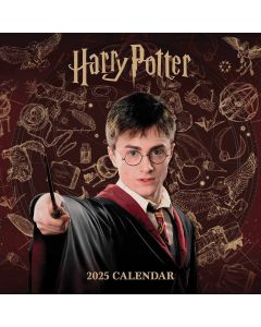Harry Potter Wall Calendar 2024 240911