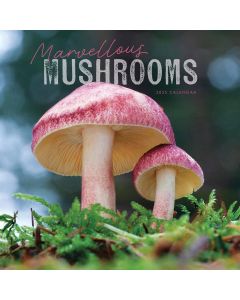 Marvellous Mushrooms Calendar 2025