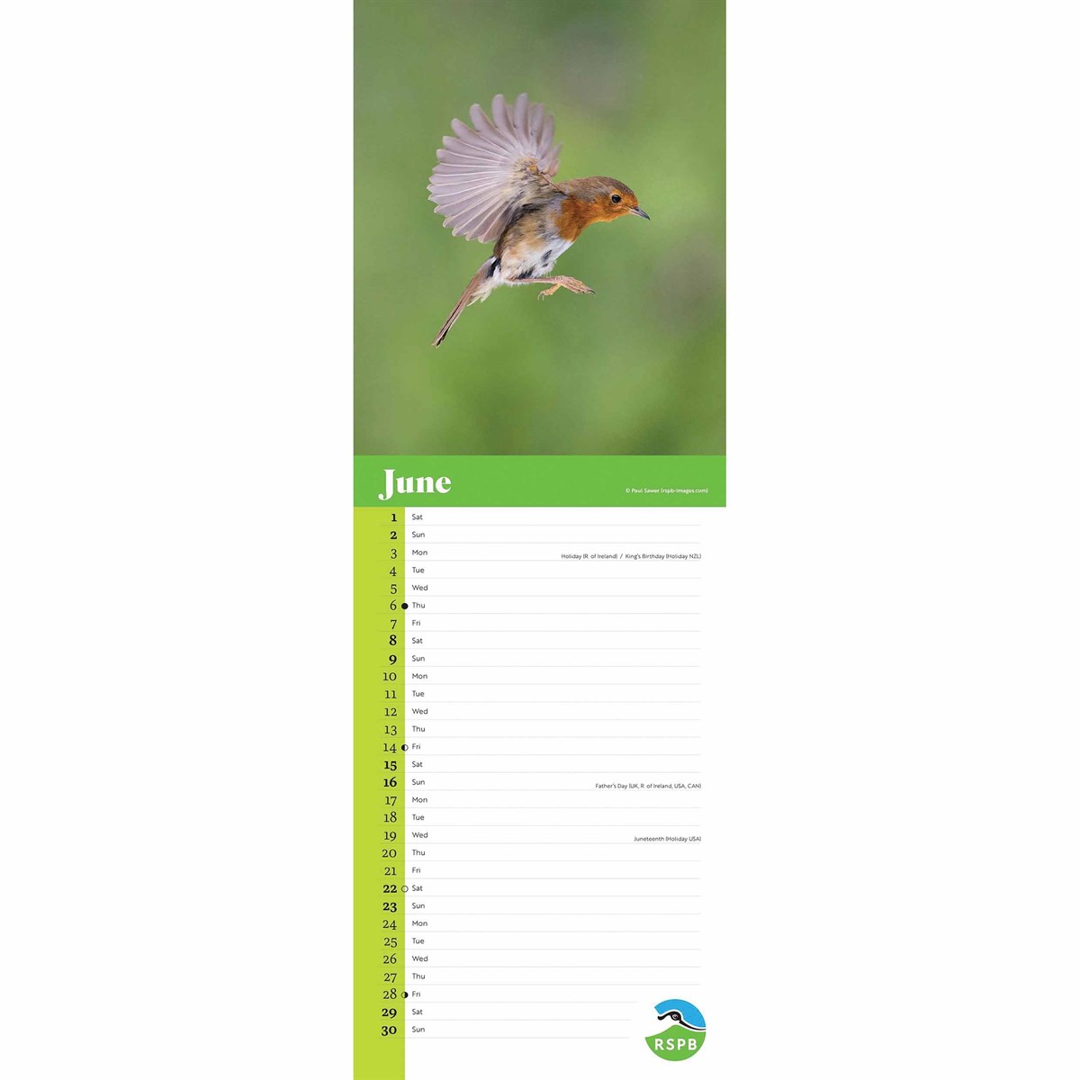 RSPB Robins Slim Calendar 2024 by Carousel Calendars 240234