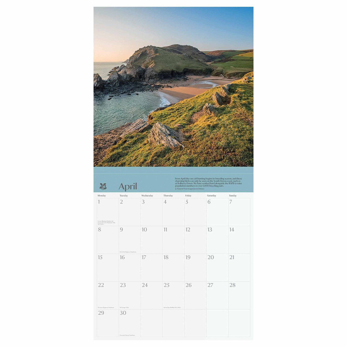 National Trust, Seasons Wall Calendar 2024 by Carousel Calendars 240247