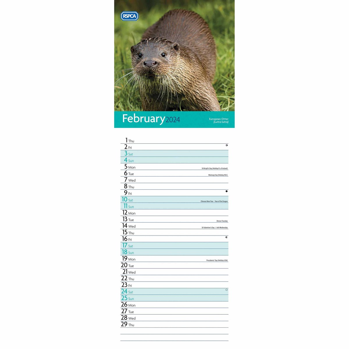 RSPCA British Wildlife Slim Calendar 2024 by Carousel Calendars 240450