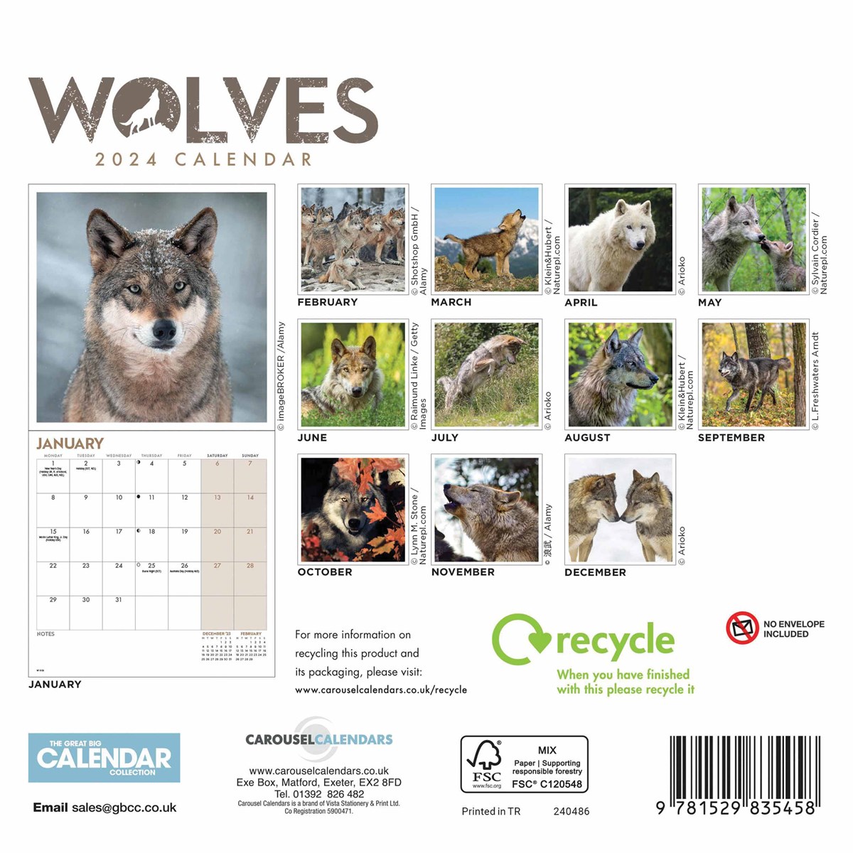 Wolves Mini Calendar 2024 by Carousel Calendars 240486