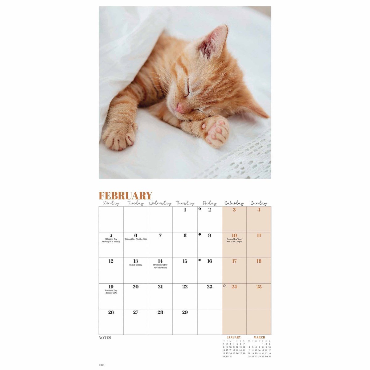 Cat Naps Mini Calendar 2024 by Carousel Calendars 240491